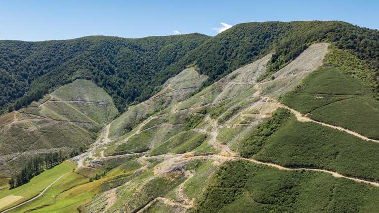 Tunakino Valley Rai Valley_17