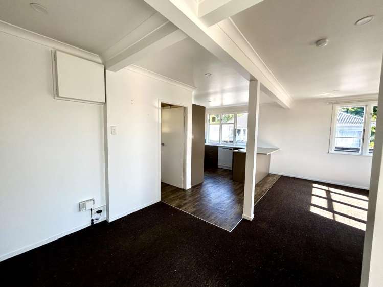 55 Miller Street 1070_8