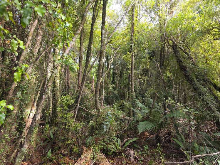 Ballarat Rise Awatuna_6