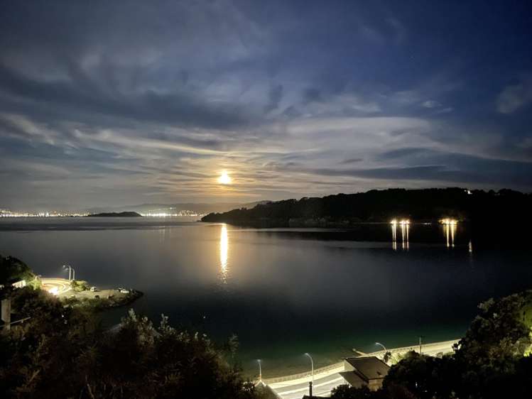 108b Maida Vale Road Roseneath_26