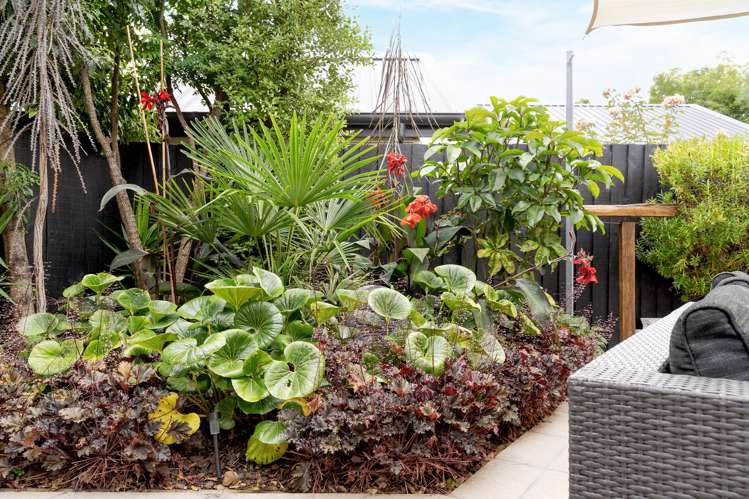 44d Bowenvale Avenue Cashmere_26