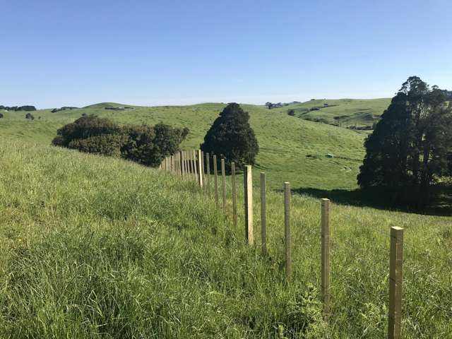 18 Waimaori Road Raglan_2