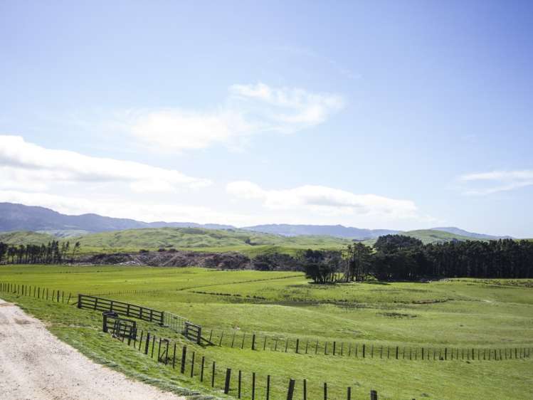 1530 Waihi Valley Road Pongaroa_8