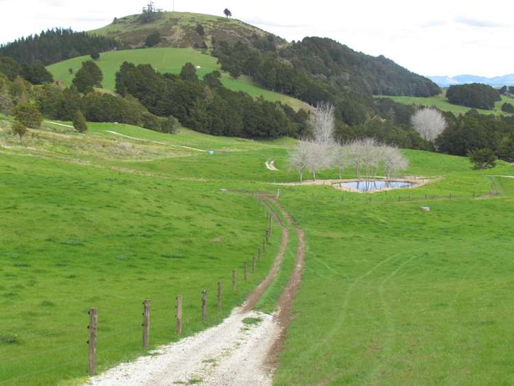 Tremain Road Ruatangata West_28