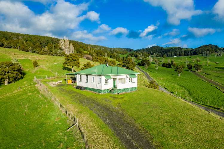 1053 Waihue Road Dargaville Surrounds_13