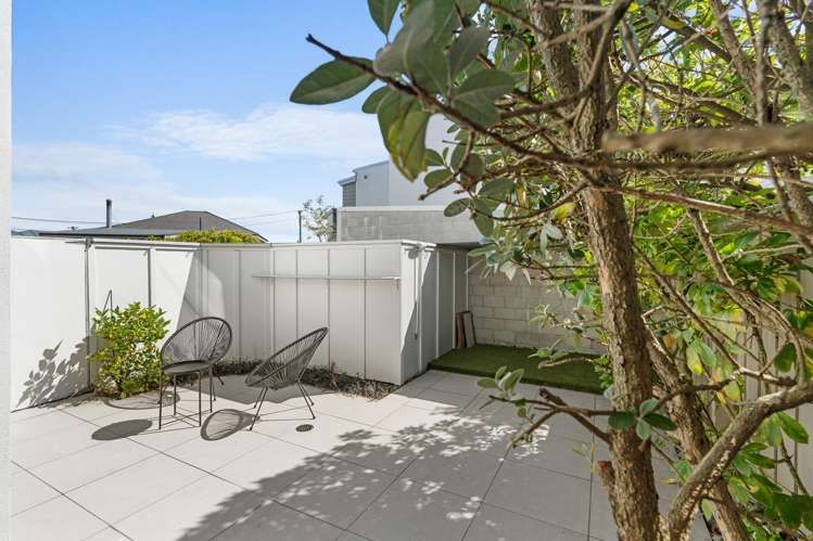 36b Seddon Street Sydenham_15