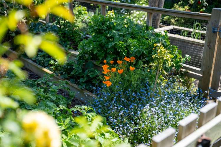 41 Surrey Street Caversham_21