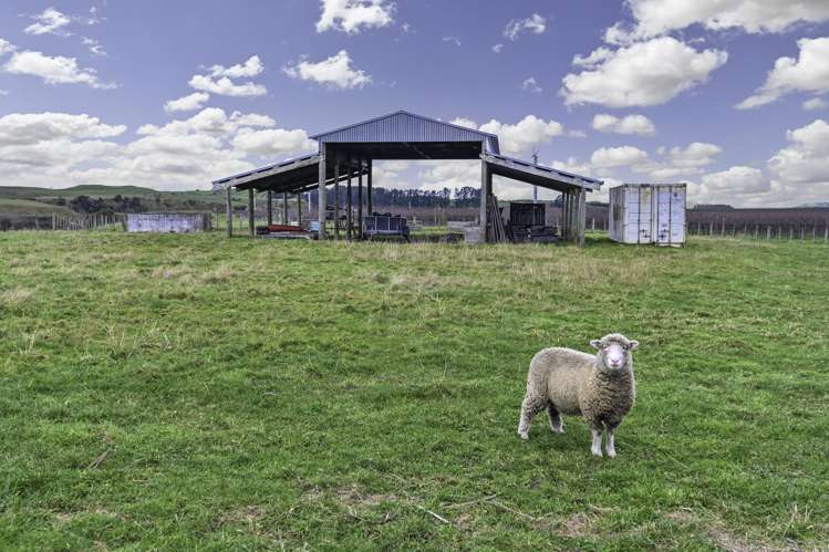 102 Crownthorpe Road Crownthorpe_19