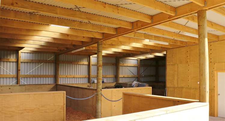 241 Te Mahoe Road Mokau_31