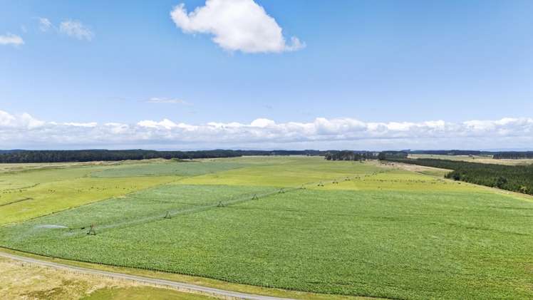 715 Santoft Road Bulls_3