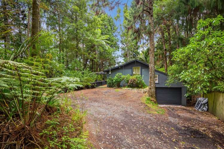 43 Kauri Loop Road_0