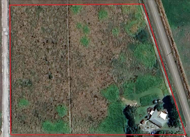 427 Wallace Road Ruawai_51