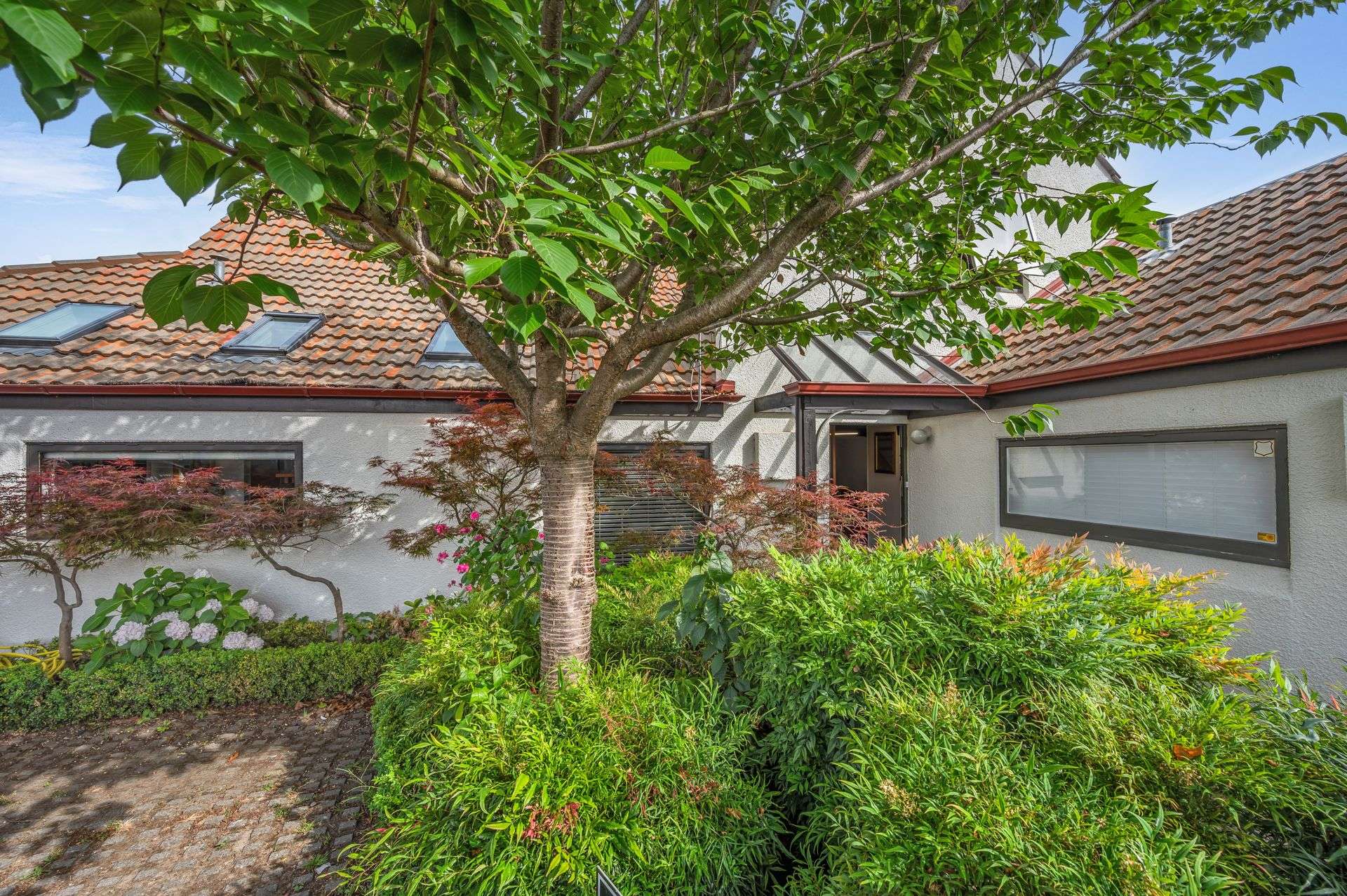 4/509 Fitzroy Ave Mahora_0