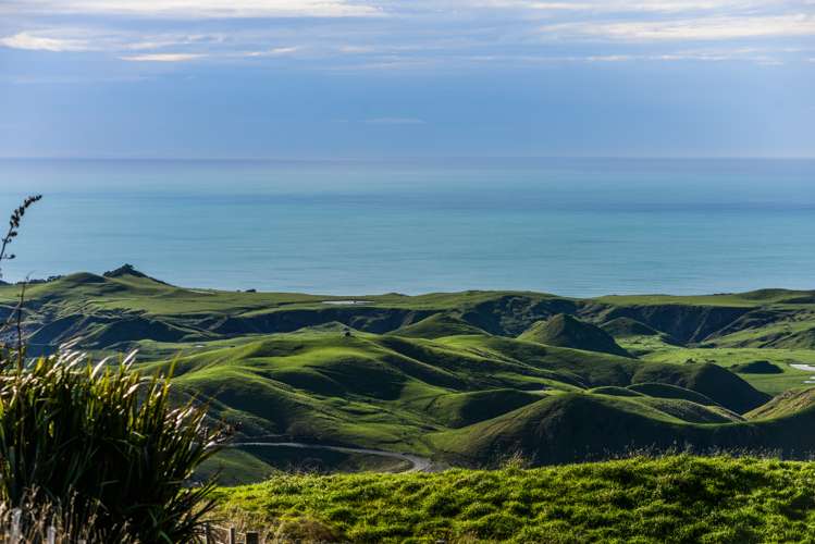 1504 Waimarama Road Waimarama_5