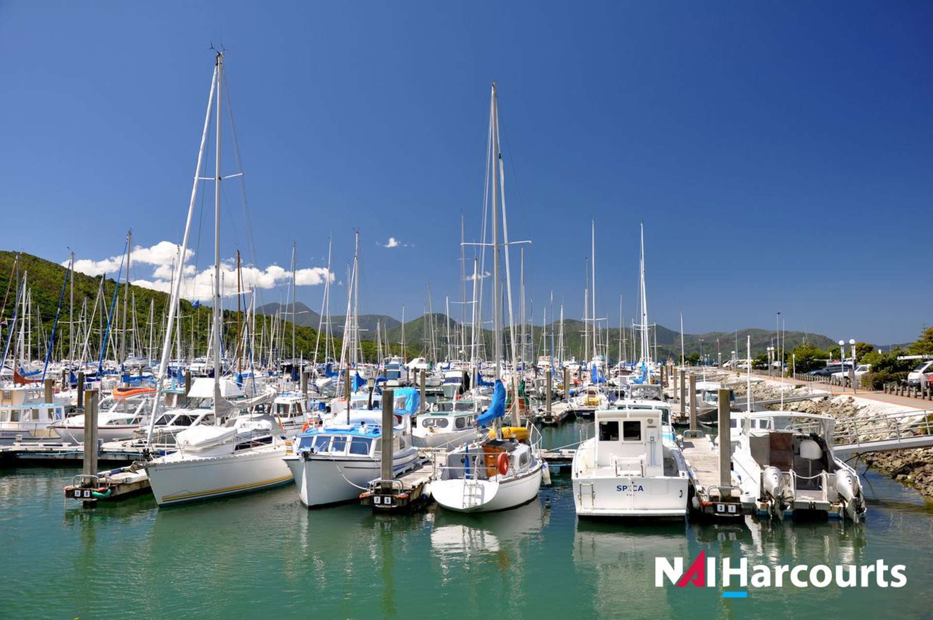 Oddies Marine Equipment Specialists Picton_0