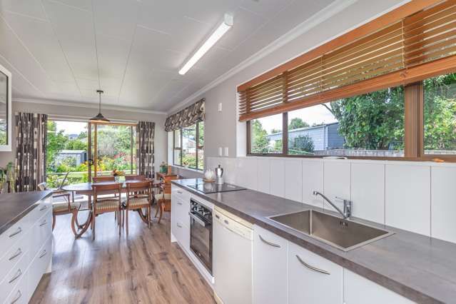 12 Gardener Street Levin_3