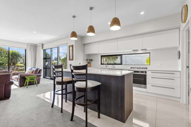 100 Te Rito Street Marshland_4