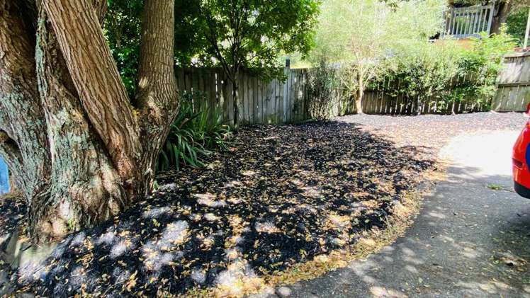 4/532 Whangaparaoa Road Stanmore Bay_13