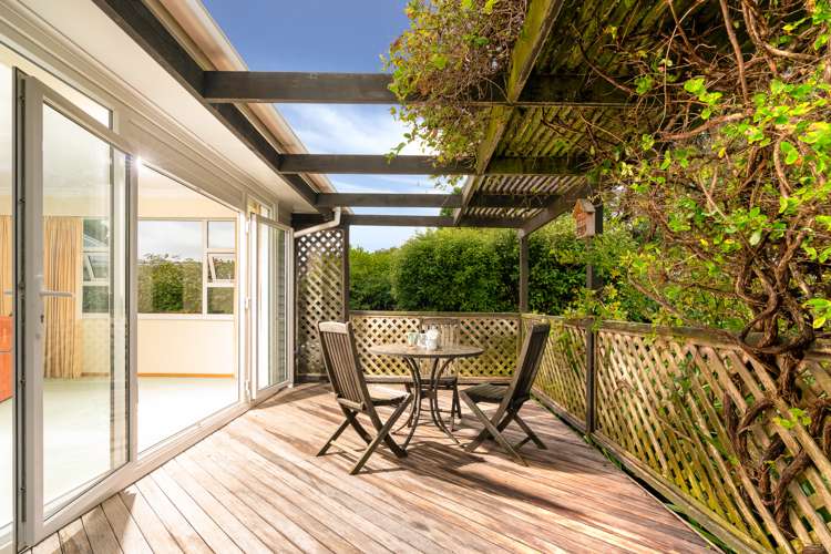 17a Puriri Street Miramar_9