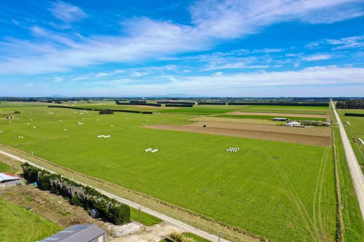 486 Irving Road and 150 Angle Road Woodlands_8