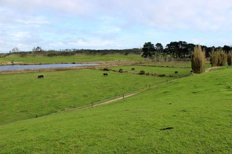 187 Katavich Road Awanui_1