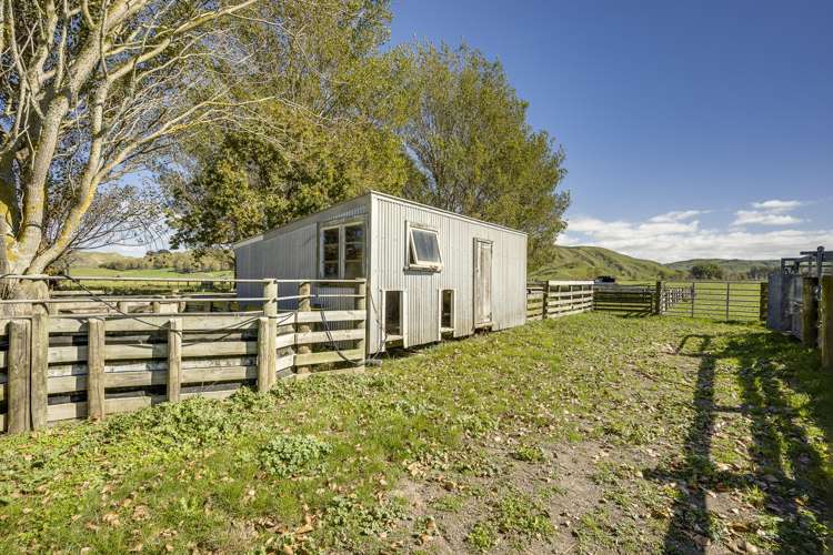 Paoanui Pourerere_11