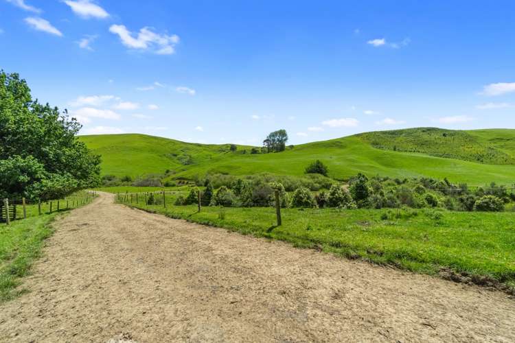 258 Paratu West Road Richmond Downs_40