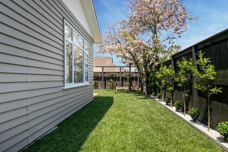 139b Fraser Street Tauranga South_23