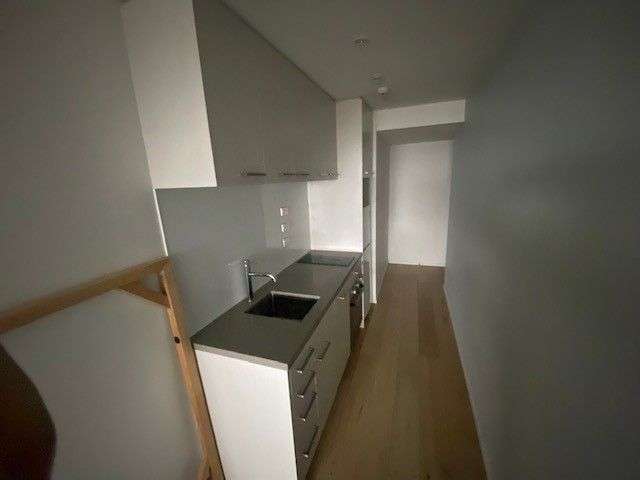 1 Bedroom 1 Bathroom (Furnished Studio Apartment)