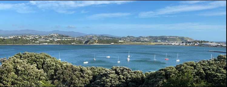 11 Rewa Road Hataitai_1