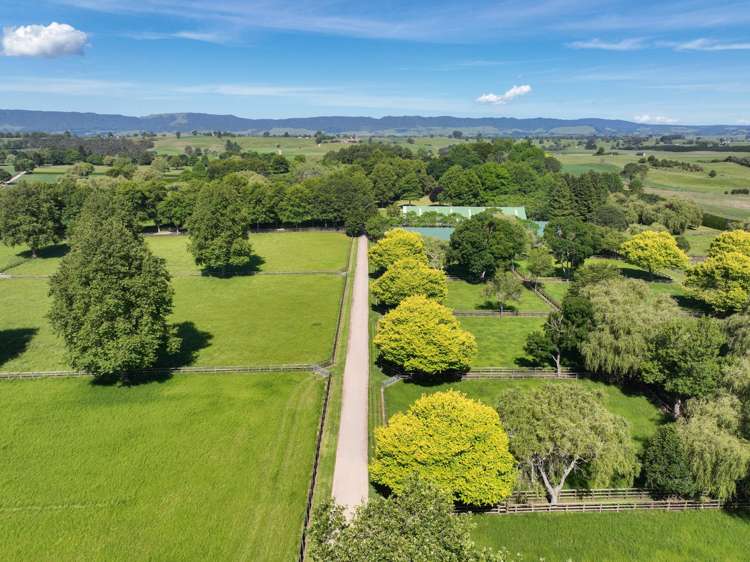 136 Wells Road Okoroire_4