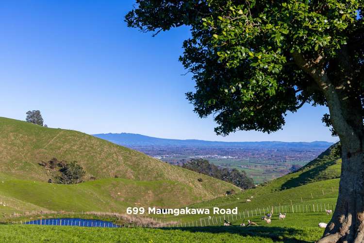 697 and 699 Maungakawa Road Cambridge_10