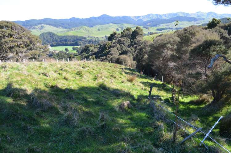 Mangapurupuru Road Bideford_12