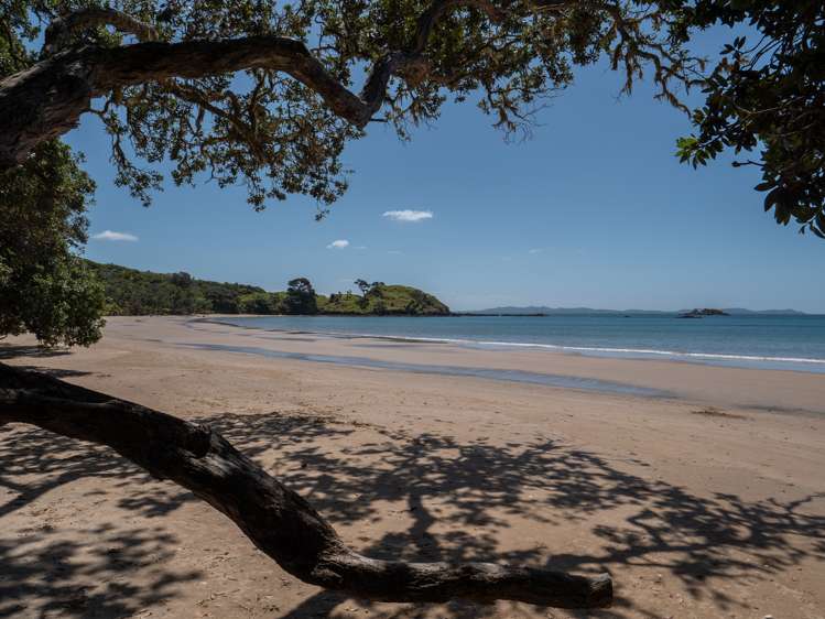 36 Bayside Drive Coopers Beach_14