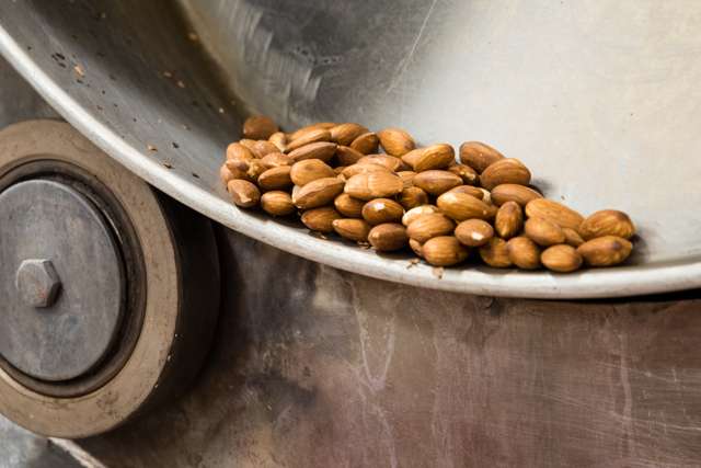 Nut processing business on the market for sale