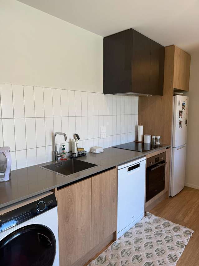  2 Shelduck Road Jack's Point_2