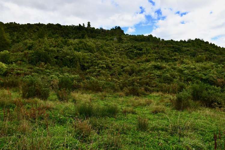 40Ha Block State Highway 67 Mokihinui_17