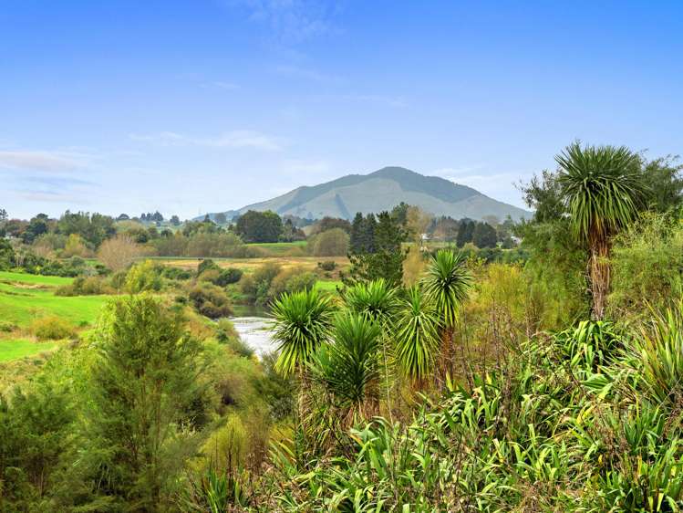 182 Mangauika Road Pirongia_23