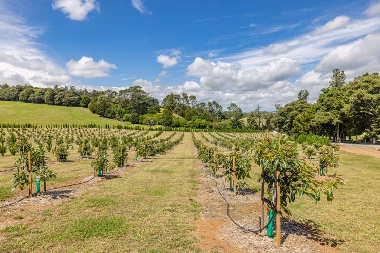 66 Kokopu Block Road Maungatapere_19