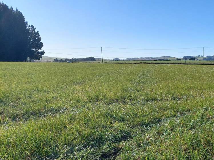 Parsons Road Weston_6