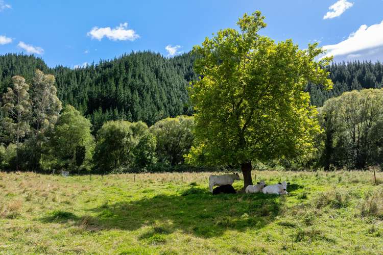 546 Onamalutu Road Onamalutu_27