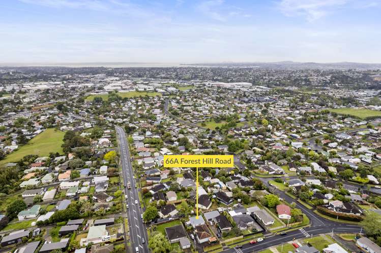 66a Forest Hill Road Henderson_18