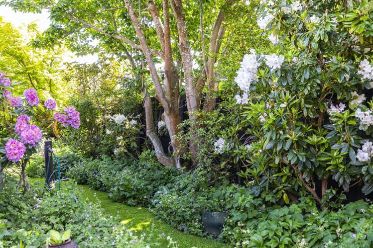 26A Strowan Road Strowan_25