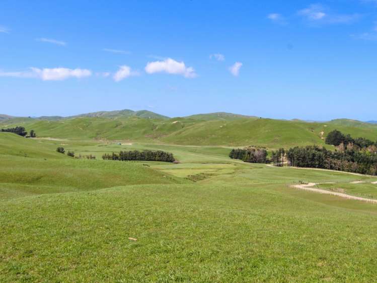 1530 Waihi Valley Road Pongaroa_17