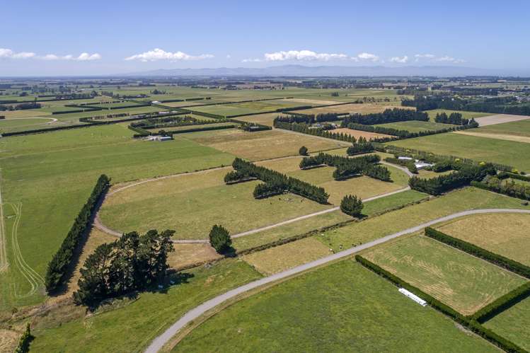 215 Harmans Road Leeston_19