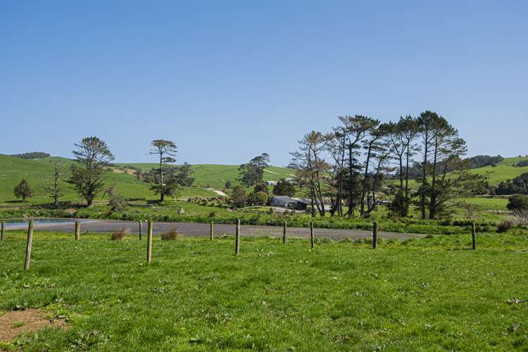 24 Foster Road Dargaville Surrounds_4