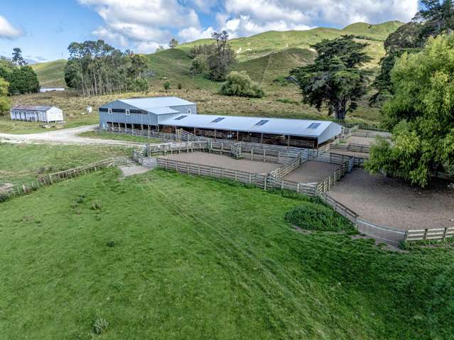 Rimunui Waerenga-O-Kuri_2