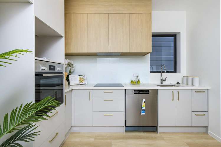 11C Elizabeth Drive_2