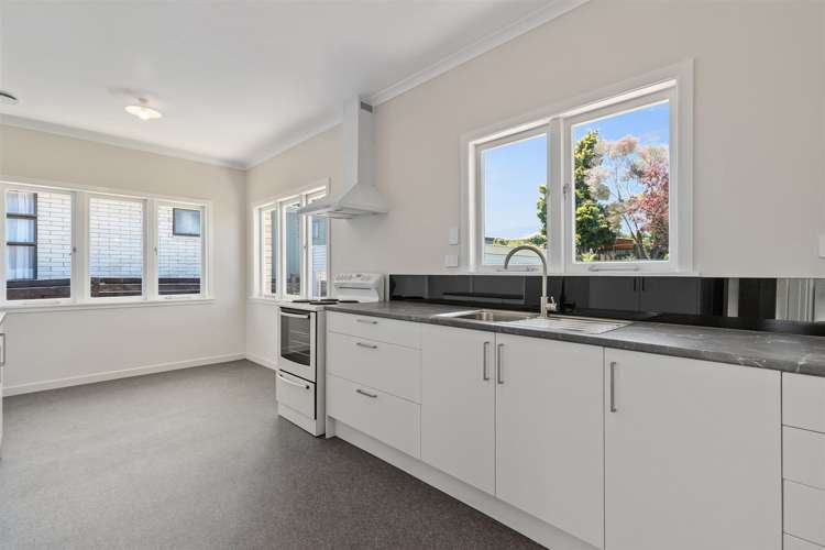 24 David Street Morrinsville_2