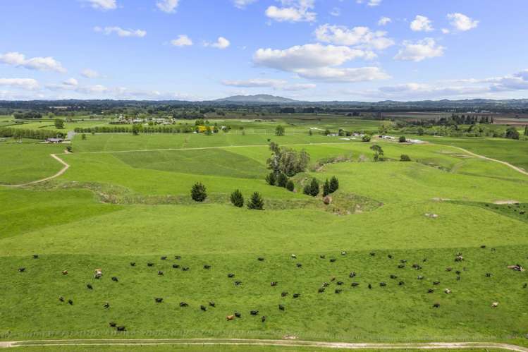 289/296 Tauranga Road Matamata_9